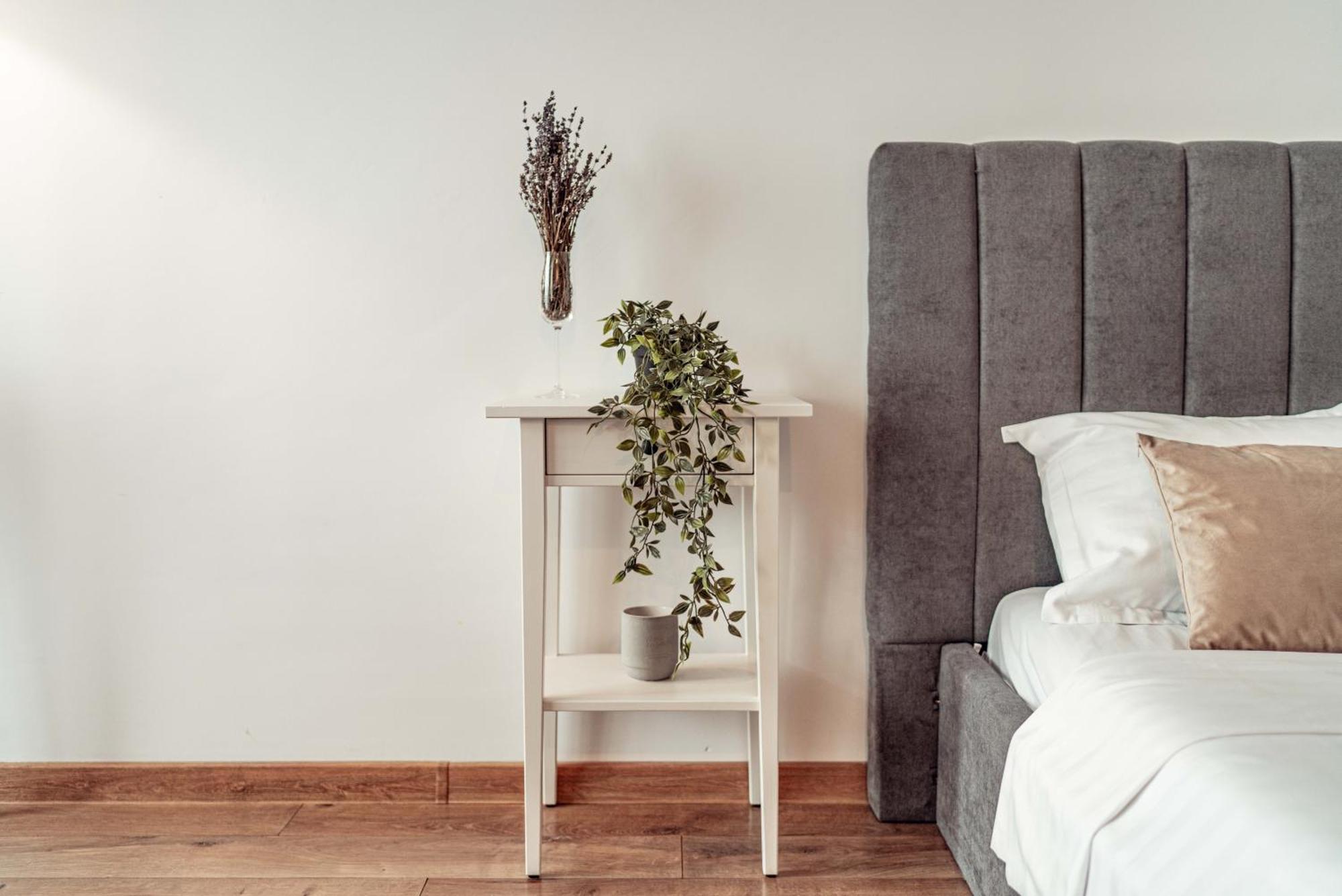 Cozy Apartments At Q Residence - Palas Mall Яссы Экстерьер фото